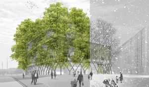 Graphic illustration: Design and conception of “baubotanical architecture”