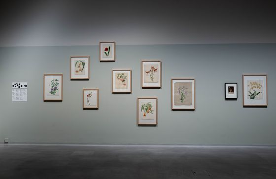 Ausstellungsansicht „Inszeniertes Selbst. Marta Astfalck-Vietz“, Berlinische Galerie, Foto: © Harry Schnitger