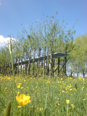 Photo: Elevated walkway, spring 2008