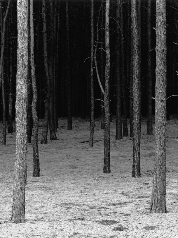 Falk Haberkorn, Schonung #2, Aus der 4-teiligen Serie "Schonung", 2003/04