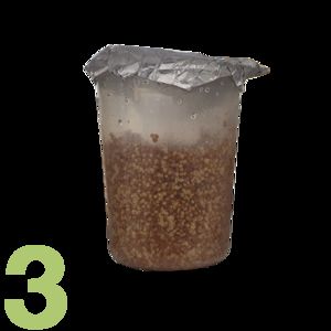 Figure 3: Cut-out, transparent container covered with a kind of foil, in which the grain brood described in the caption is located.