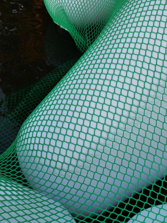 Foto: Nahaufnahme der weißen Tetrapoden, über denen ein leuchtend-dunkelgrünes Netz gelegt ist.