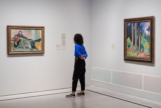 Impressions Preview "Edvard Munch. Magic of the North", Berlinische Galerie
