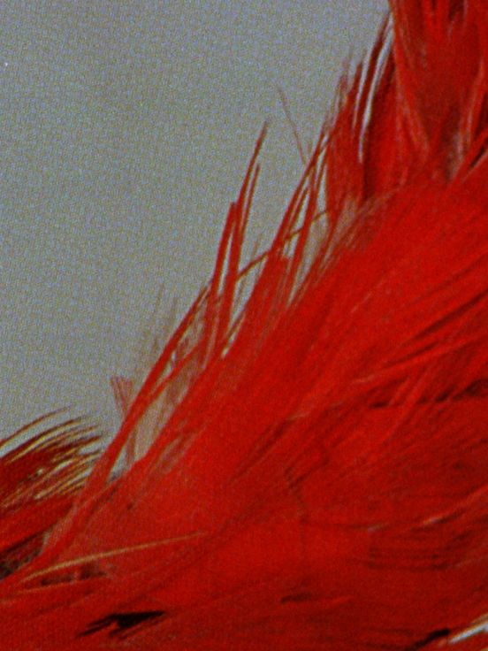 Ana Vaz, Há Terra!, 2016, © Ana Vaz, Spectre Productions 