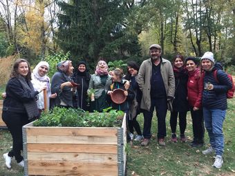 Stadtnatur à la Prinzessinnengärten - diese Beete dürfen alle beernten, Berlin & ich, 2019