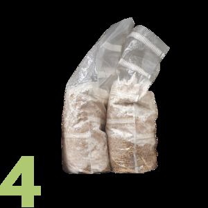 Figure 4: Cut-out photo of a transparent bag containing the mushroom-plant mixture described in the caption. 