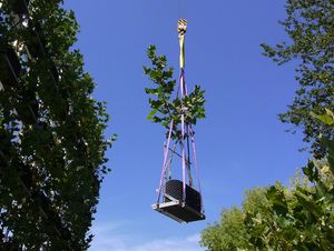 Photo: Installation of pre-cultivated plants on the building