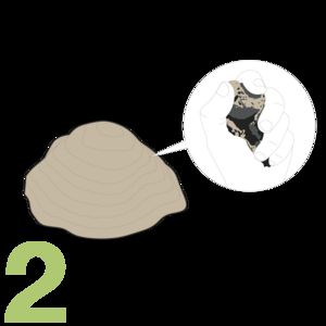 Figure 2: Graphic illustration of a mound of clay with different layers. To the right, an illustrated hand holds a piece of clay.
