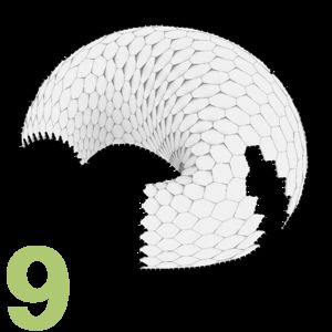 Figure 9: Simplified graphic illustration of the semicircular mushroom building.