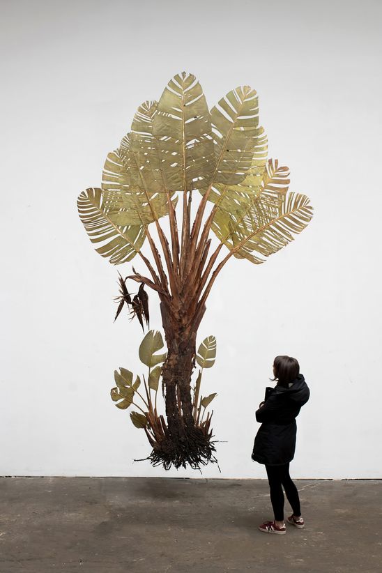 Julius von Bismarck, I like the flowers (Strelitzia Nicolai), 2017. Courtesy Julius von Bismarck; alexander levy, Berlin, and Sies + Höke, Düsseldorf.