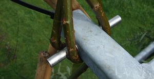 Photo: Linking plant and technical elements so that they blend in and grow together over time