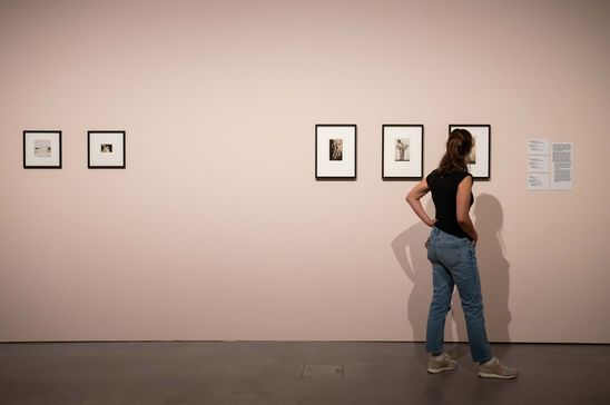 Photo: Back view of a person looking at framed photographs. The photographs hang on an old pink-coloured wall.