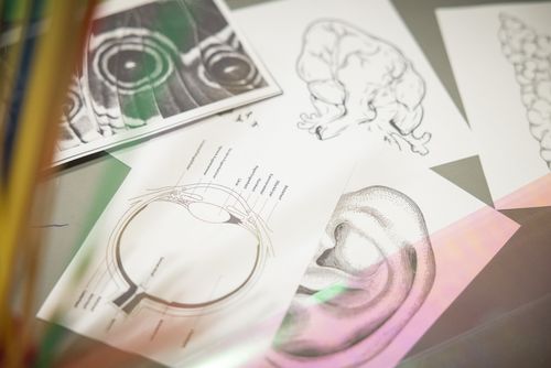 Impressions of the children's vernissage at Berlinische Galerie 2024 Photo: View of some printed sheets of paper. Some of them show teaching illustrations of an ear or eye.