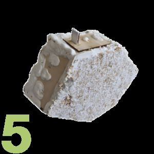 Figure 5: Cut-out photo of a mushroom component covered with a whitish layer.