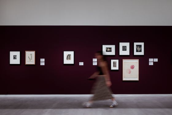 Ausstellungsansicht „Inszeniertes Selbst. Marta Astfalck-Vietz“, Berlinische Galerie, Foto: © Harry Schnitger