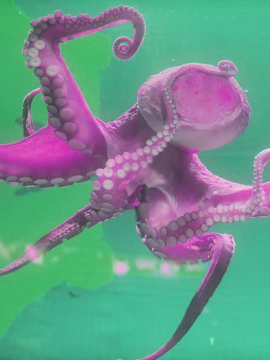 Monira Al Qadiri, Divine Memory, 2019