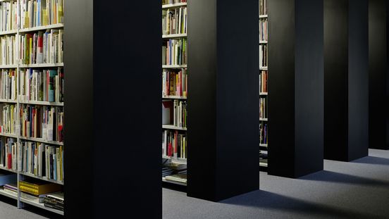 Photo: Parallel floor-to-ceiling shelves with books.