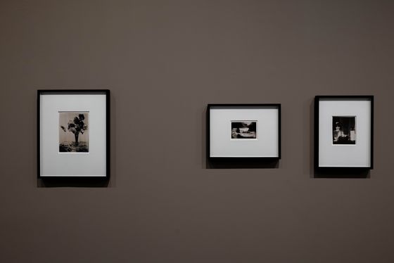 Ausstellungsansicht „Inszeniertes Selbst. Marta Astfalck-Vietz“, Berlinische Galerie, Foto: © Harry Schnitger
