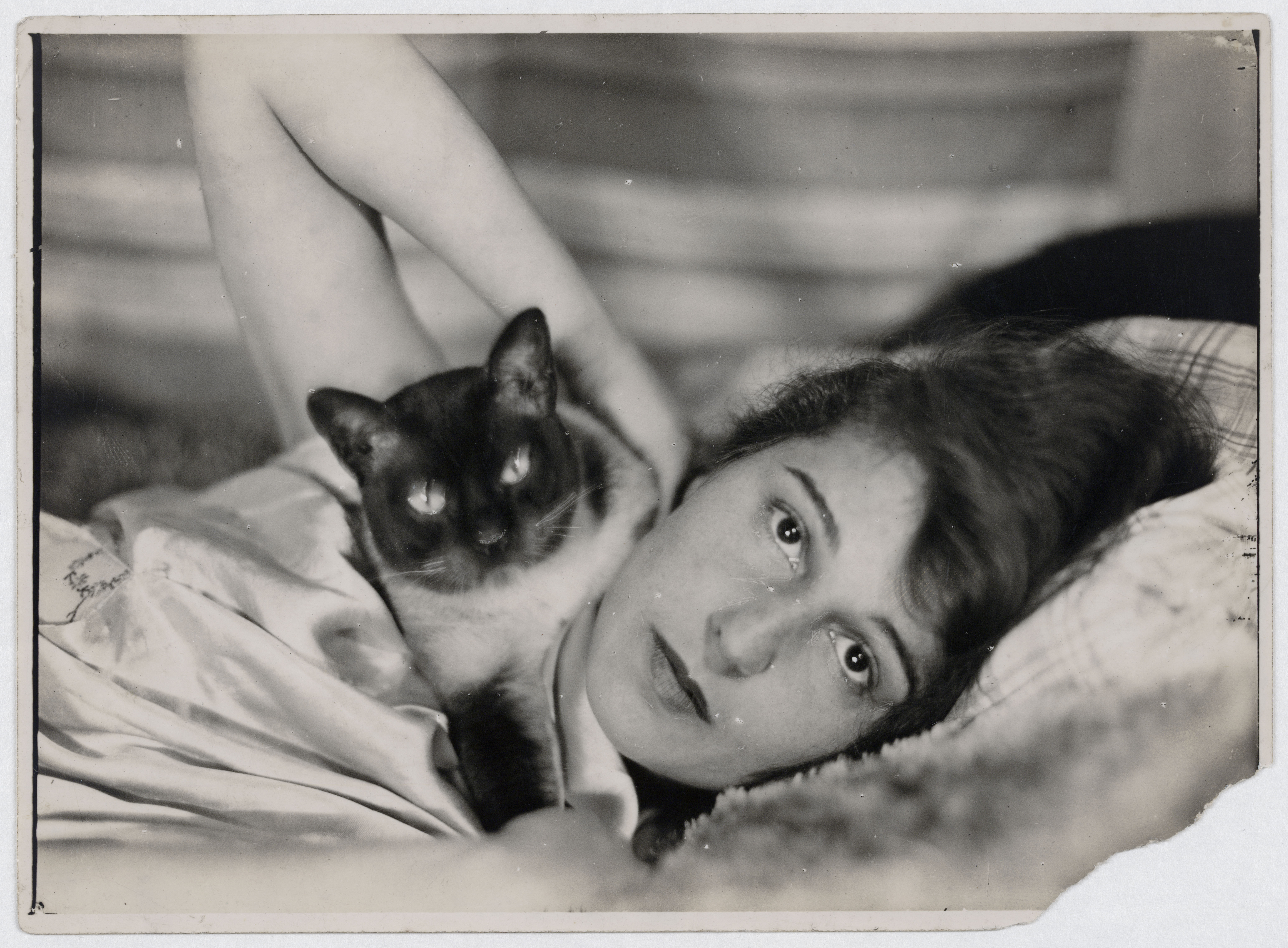 Umbo, Ohne Titel (Ruth Landshoff mit Katze), 1928, © Phyllis Umbehr/Galerie Kicken Berlin/VG Bild-Kunst, Bonn 2020