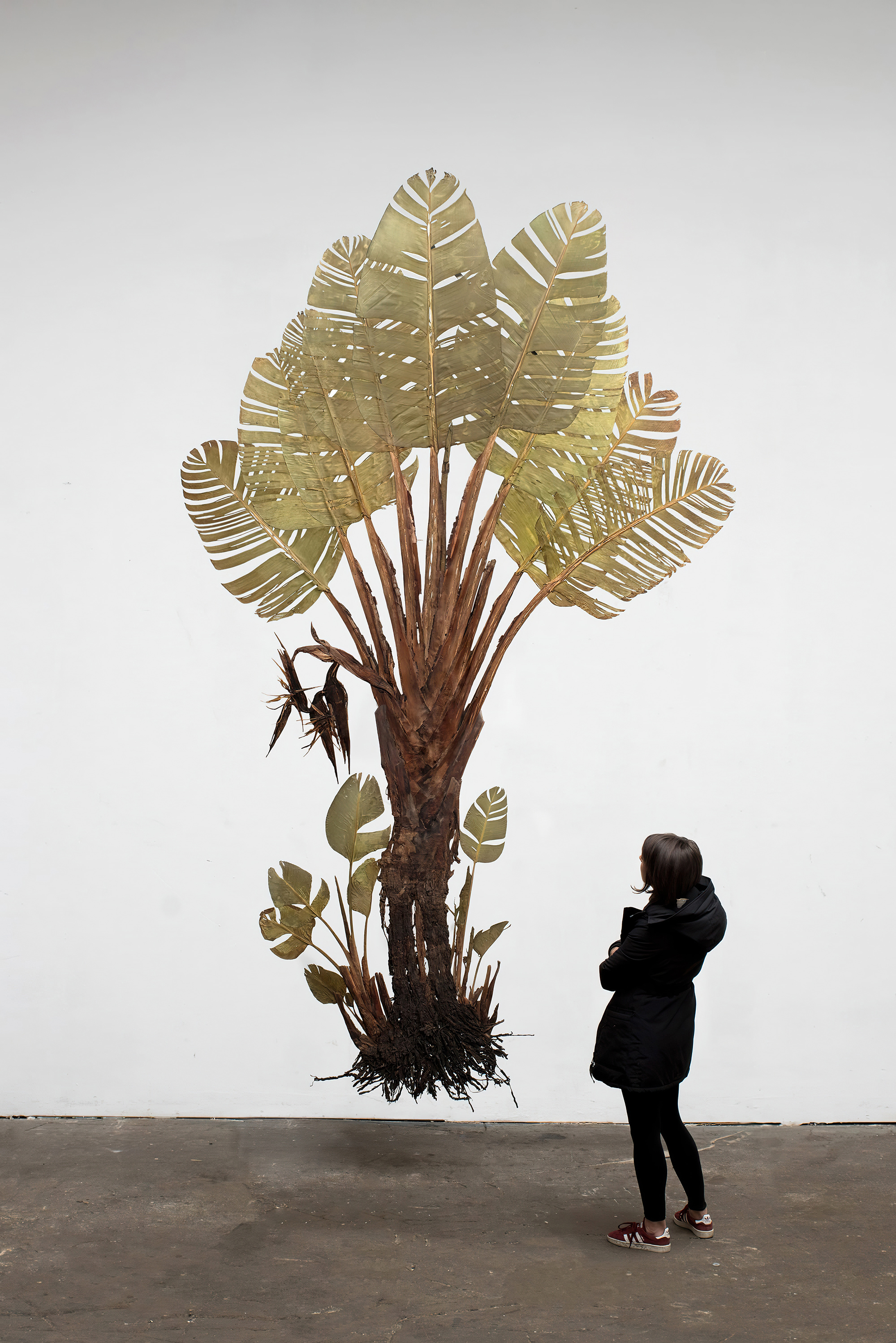 Julius von Bismarck, I like the flowers (Strelitzia Nicolai), 2017, Courtesy Julius von Bismarck; alexander levy, Berlin, and Sies + Höke, Düsseldorf, © Julius von Bismarck, VG Bild-Kunst, Bonn 2023